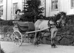 En islandshäst kopplad till en enaxlad vagn. I vagnen sitter en kvinna med hatt, kappa och en piska i handen. Ekipaget står på Bergsgatan utanför s k Borgmästargården.