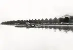 Ett mudderverk i Växjösjön, ca 1910. I bakgrunden till höger skymtar Växjö högre allmänna läroverk.