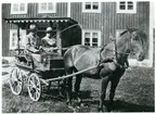 Munktorp sn, Köping, Åskesta.
Nils och Maria Eriksson i hästvagn, slutet av 1920-talet.