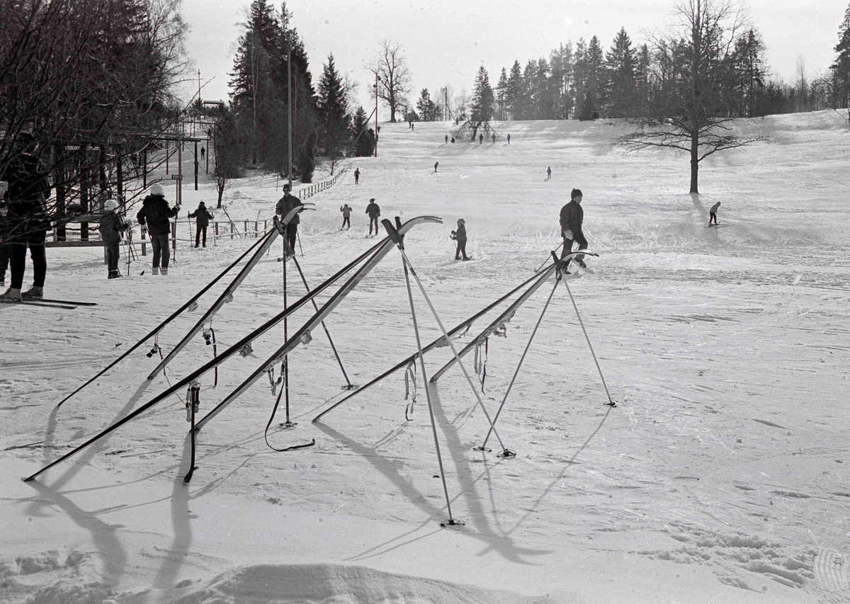 Skidåkare på Björnön