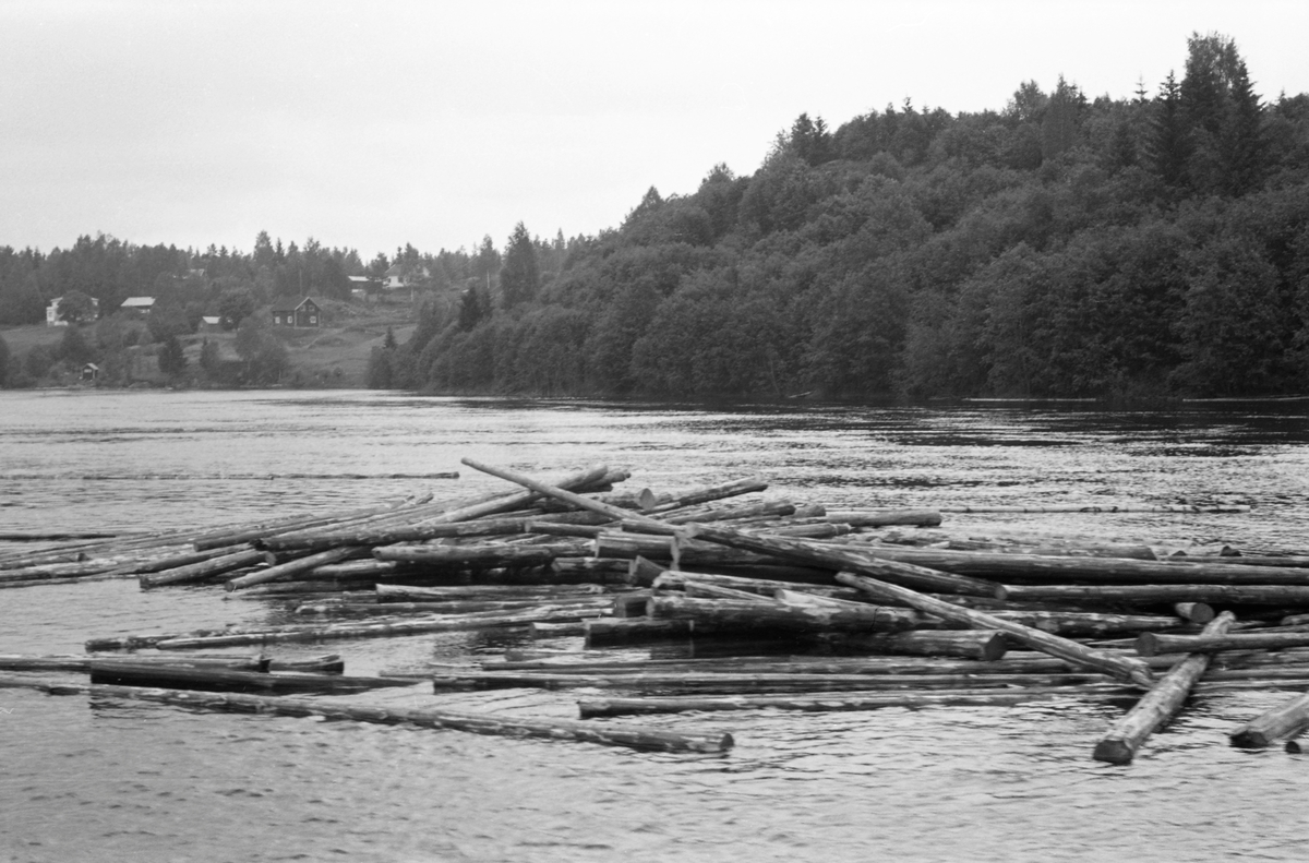 Tømmerhaug i Vorma etter maskinelt utislag fra en terminal for lastebilkjørt tømmer i nærheten av Svanfoss i Fenstad i Nes kommune i Akrshus. Bildet ble tatt i 1954.