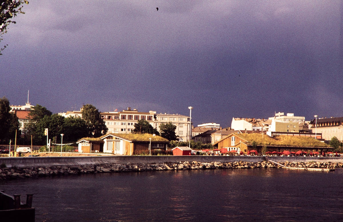 Hamar, Busy Butler, Seaside.