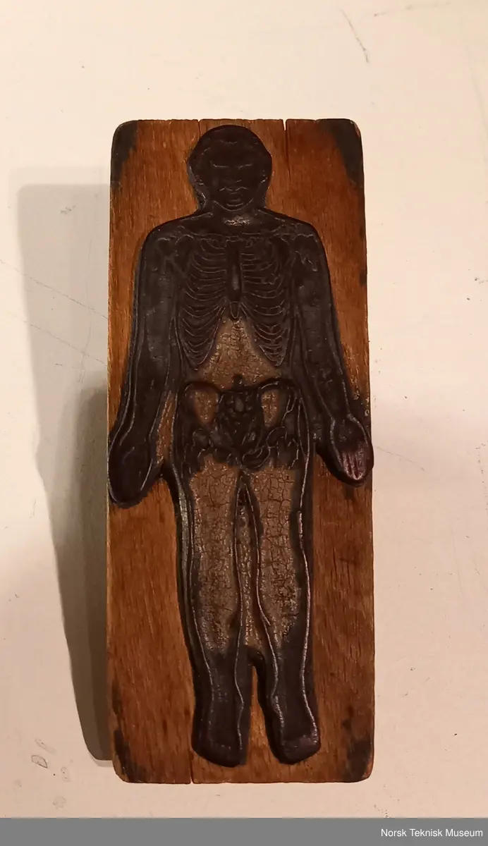 Stempel av tre med påklistret gummipute med motiv av kroppen forfra og med noe skjelett og indre organer inntegnet. Håndtak i tre.