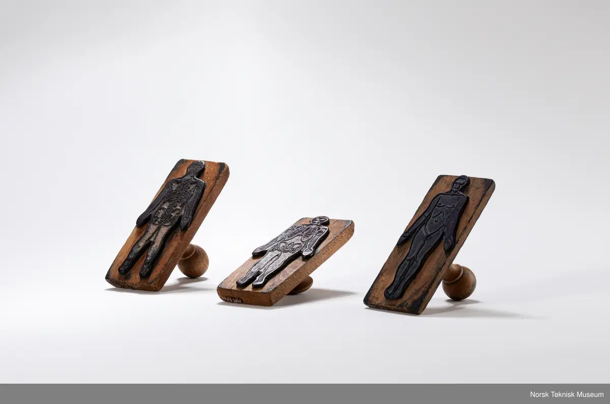 Stempel av tre med påklistret gummipute med motiv av kroppen forfra og med noe skjelett og indre organer inntegnet. Håndtak i tre.