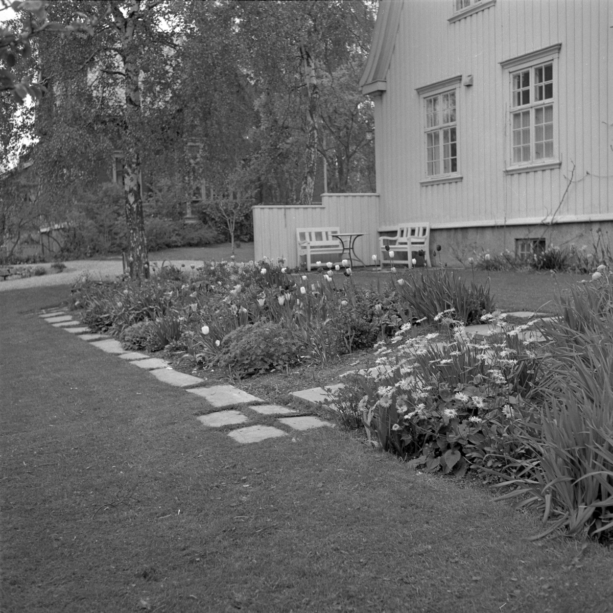 Flotte hager i byen og omegn