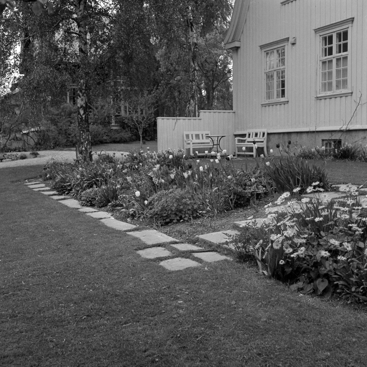 Flotte hager i byen og omegn