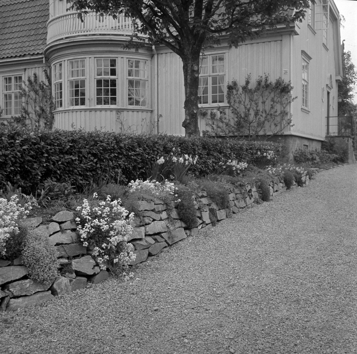 Flotte hager i byen og omegn