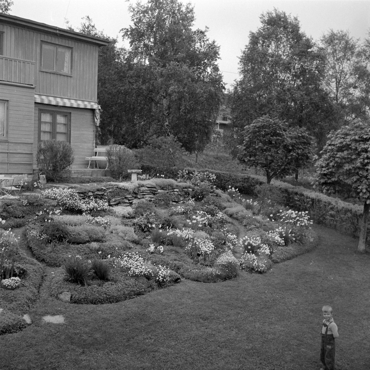 Flotte hager i byen og omegn