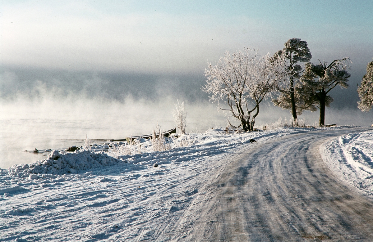 Høiensalodden, vinter, frostrøyk, Hamar.