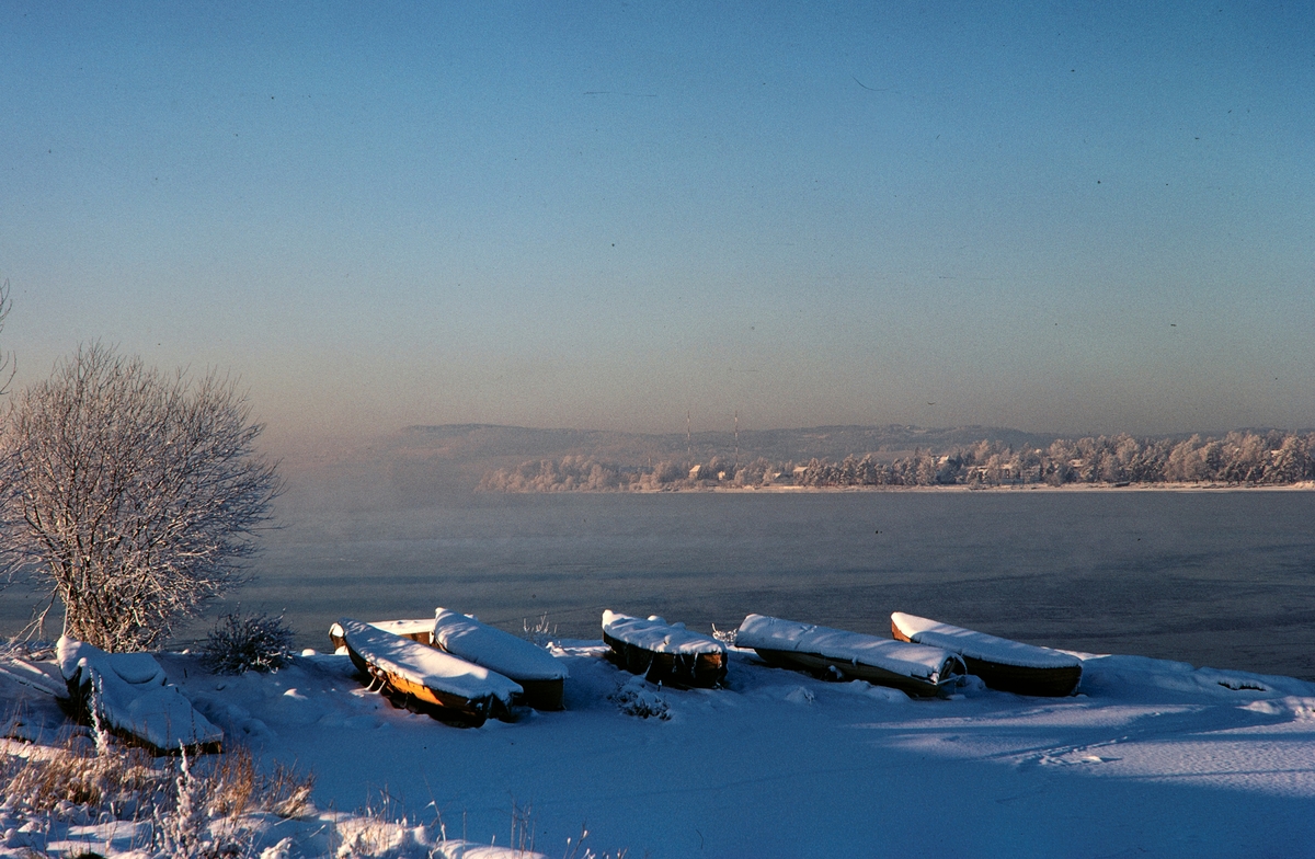 Høiensalodden, Koigen, vinter, frostrøyk, robåter, mjøsbåter, Mjøsa, Hamar.