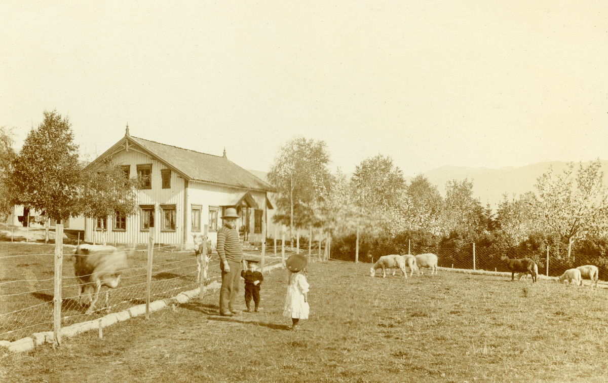 Garden Bergene med bygningar, folk, kyr og sauer