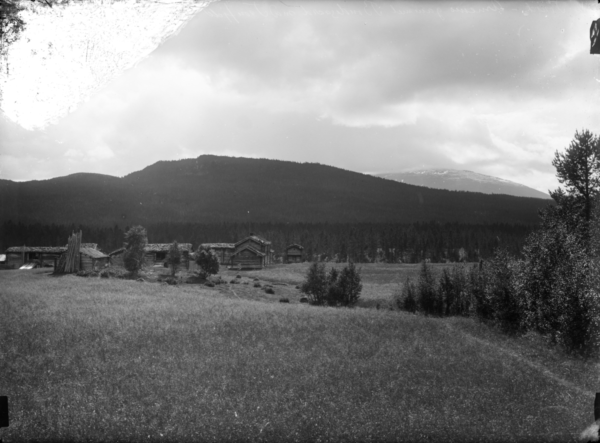 Utsyn over gårdsbruk. 