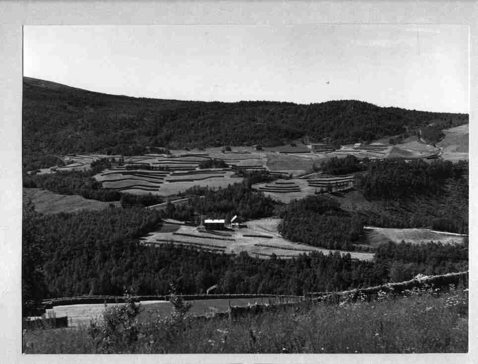 kulturlandskap, hesjer, gard, fjellbjørkeskog. 