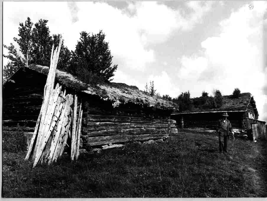 Nygardsvollen, Ørvildalen, Vingelen, Tolga