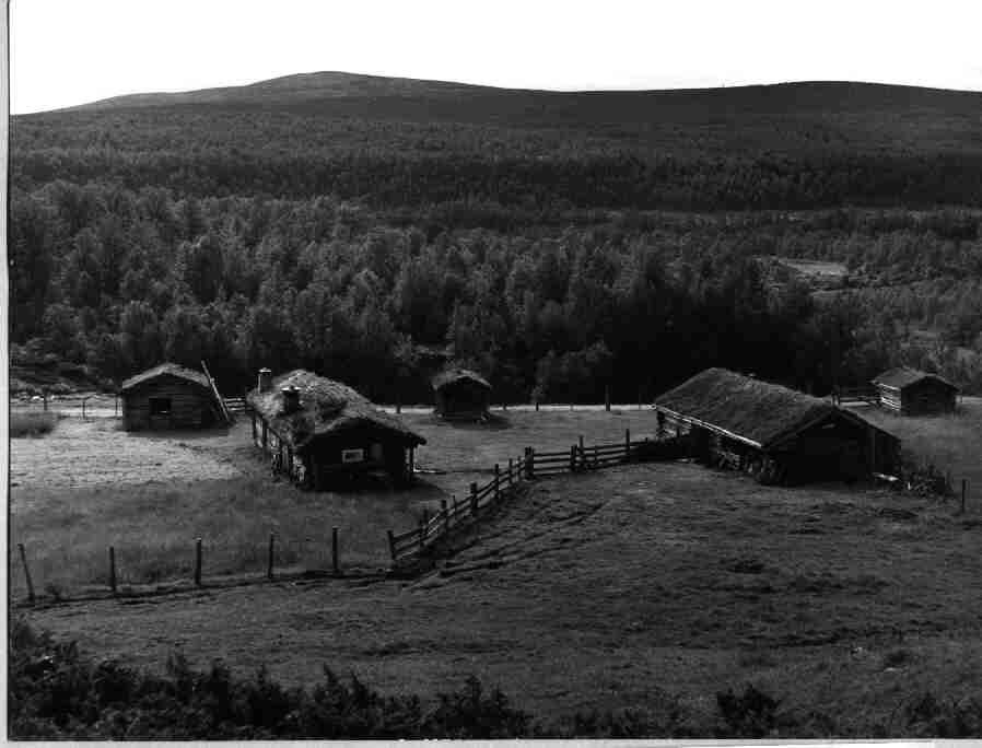 "Utpåhaugs"-vollen, Ryseteråsen, Vingelen, Tolga