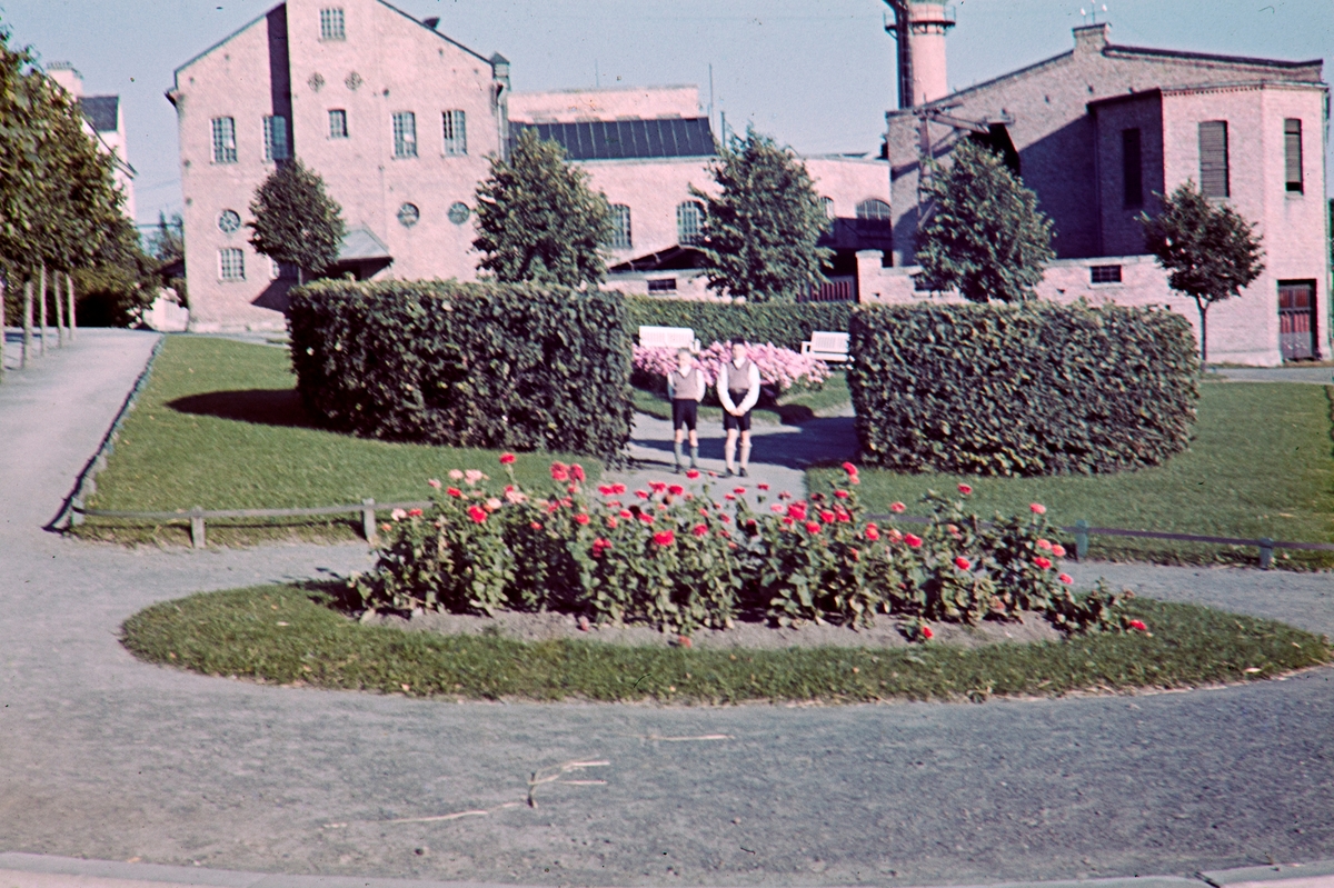 Bryggeriparken, Hamar. Parkanlegg, blomsterbed, Melkefabrikken, to ukjente gutter.