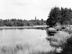 Hinneryd, sjön, 1960-talet.