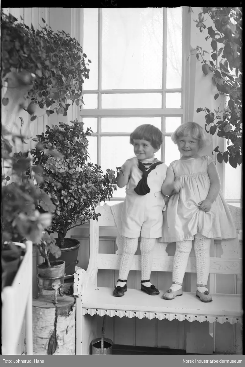 Gruppeportrett familien Bugge. To barn stående på benk innendørs med planter på sidene.