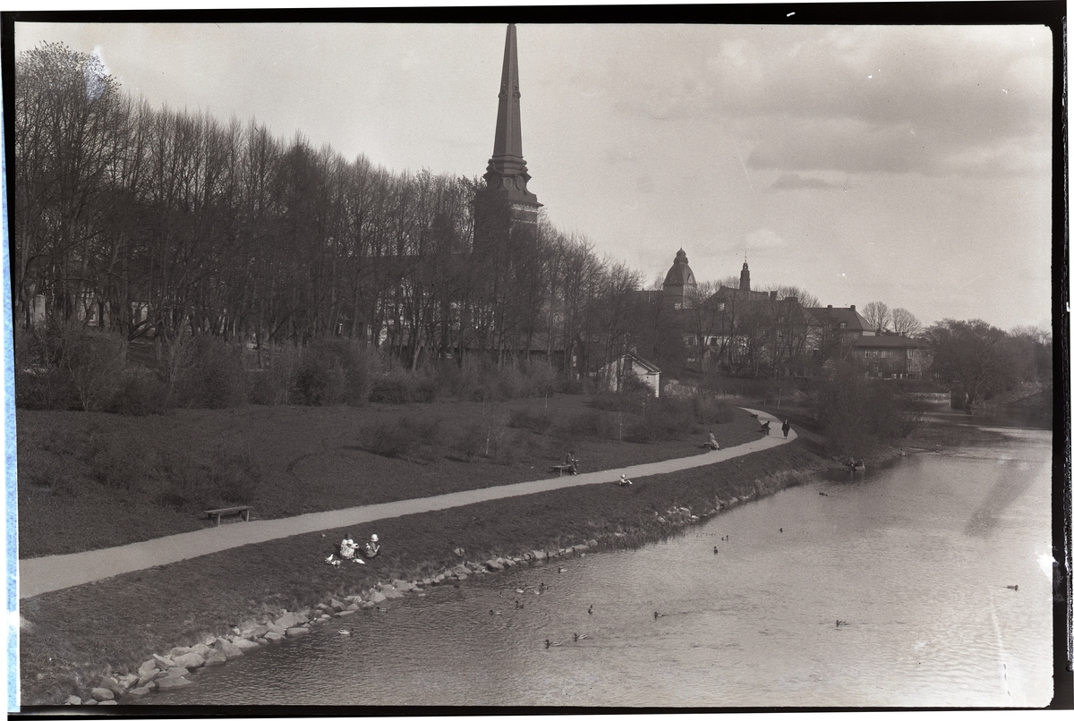 Svartån, Västerås.