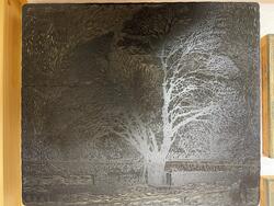 Lönnen [Träsnittstock]