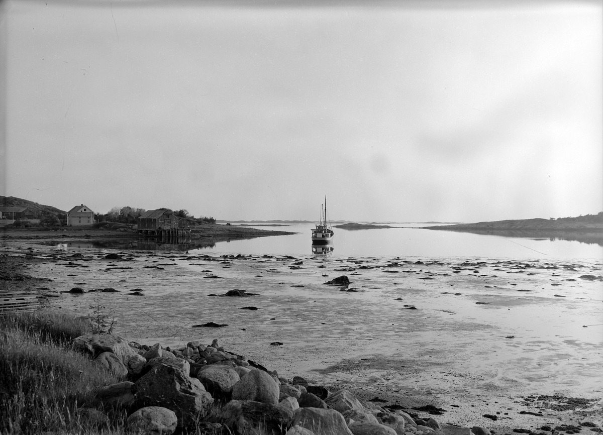 Diverse partier fra Fosenhalvøya