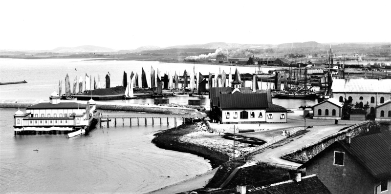 Ånghästen lämnar Varberg och skenar norrut längs havsviken. Utsnitt.