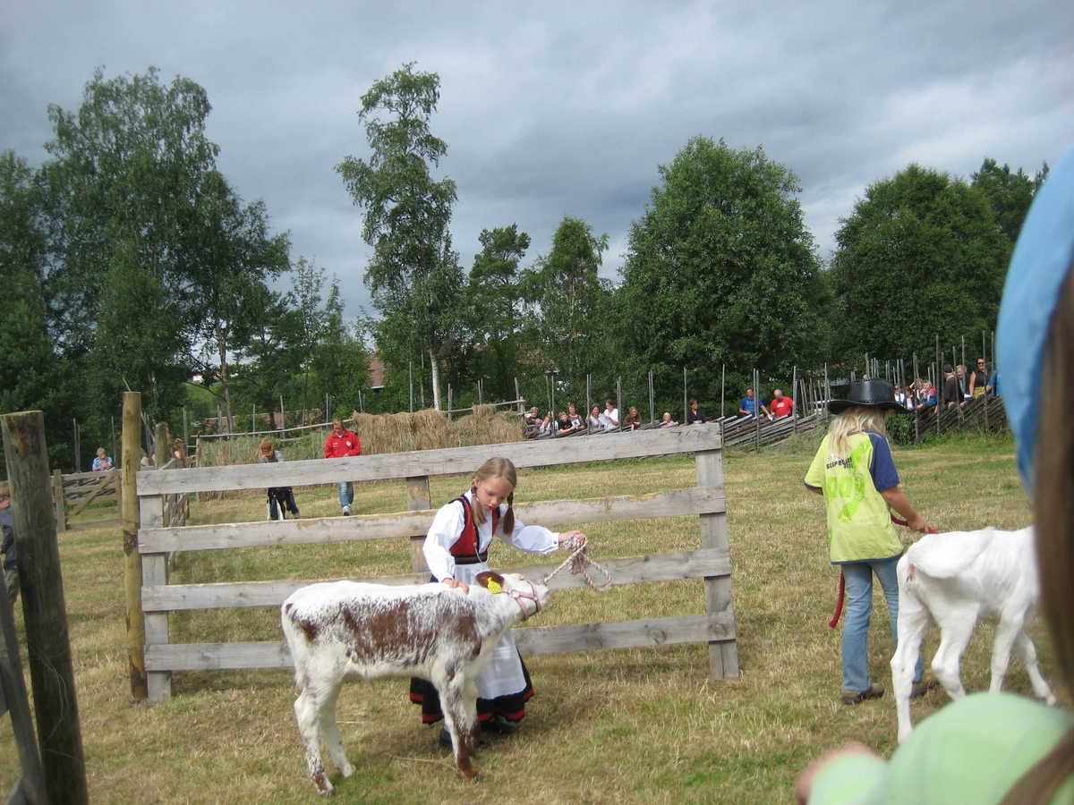 150-års jubileum for Dølafeet. Kalvemønstring. 1) Jarlsbergfe. 2) Jarlsbergfe. 3) Rørosku. 