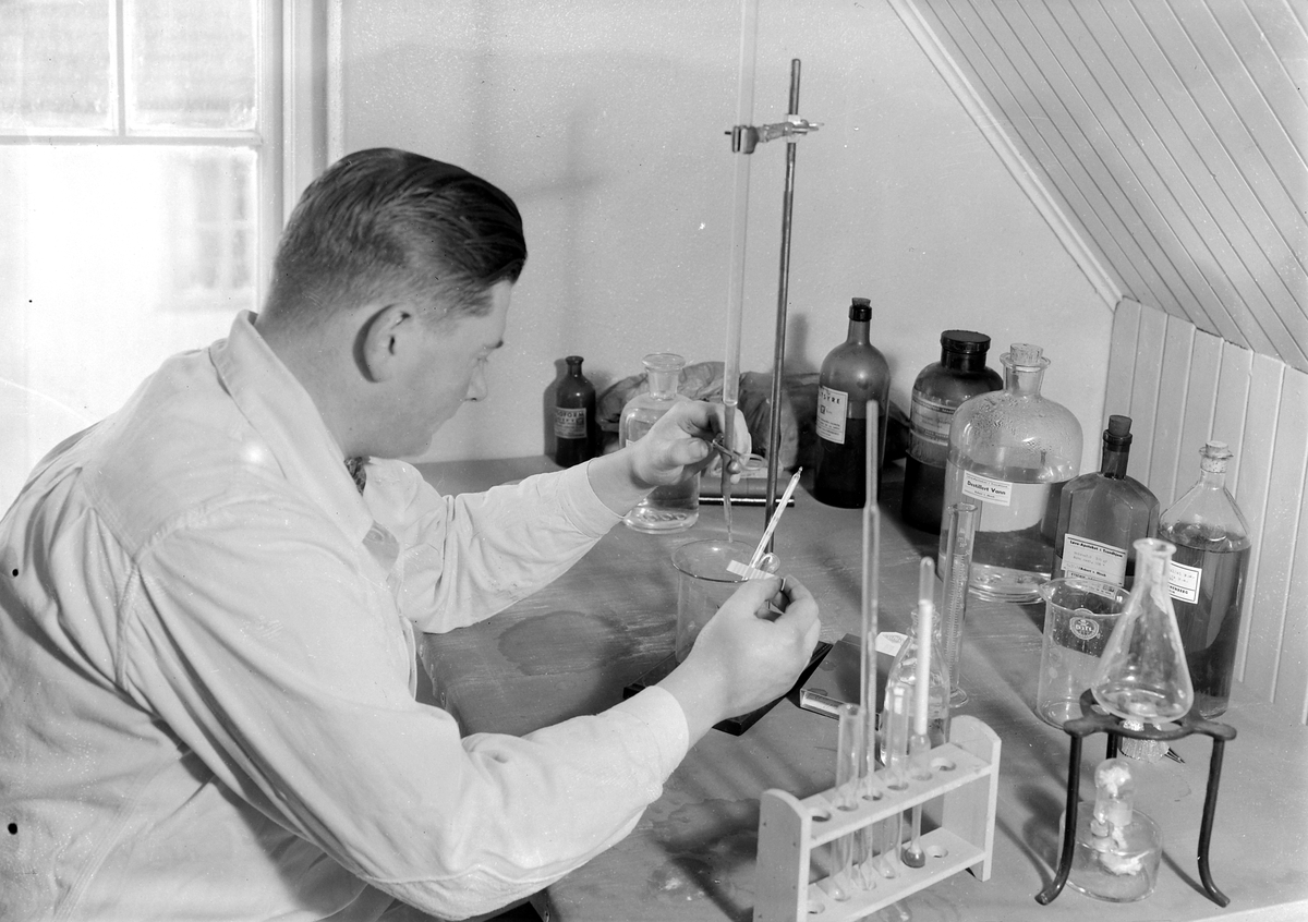 Møllehaugen spikerverk A/S