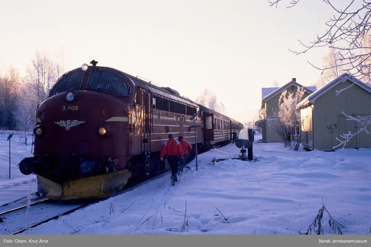 Diesellokomotiv Di 3 608 med persontog fra Oslo S til Fagernes, tog 281, på Fluberg holdeplass