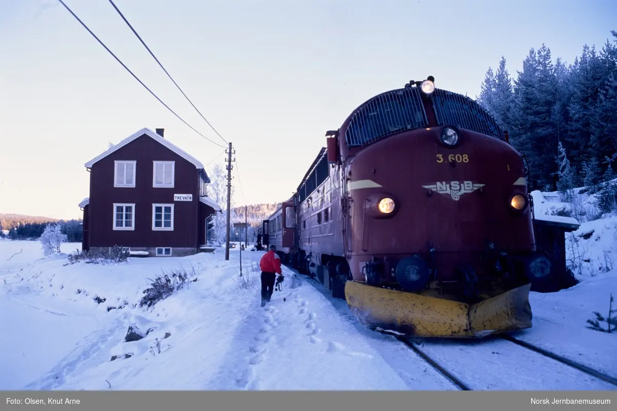 Diesellokomotiv Di 3 608 med persontog til Fagernes på Trevatn holdeplass