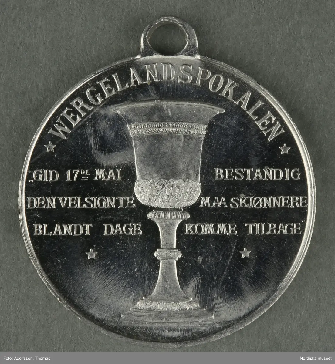 Huvudliggaren:
"a-y, Minnesmedaljer, norska, över den 17 maj; av aluminium (1 av vit metall) 24 st. från åren 1884-1907.
Gåva 28/5 1907. Läffler, Fritz, professor, Djursholm."