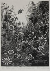 Gräshoppan [Gravyr]