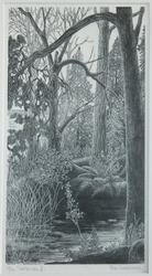 Trollbiven II [Grafik]