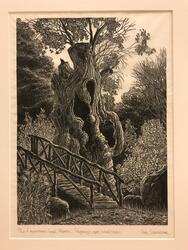 I nymfernas land, Rhodos [Gravyr]