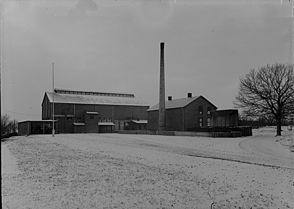 Andelsslakteriet på Sjöhagen, Västerås.