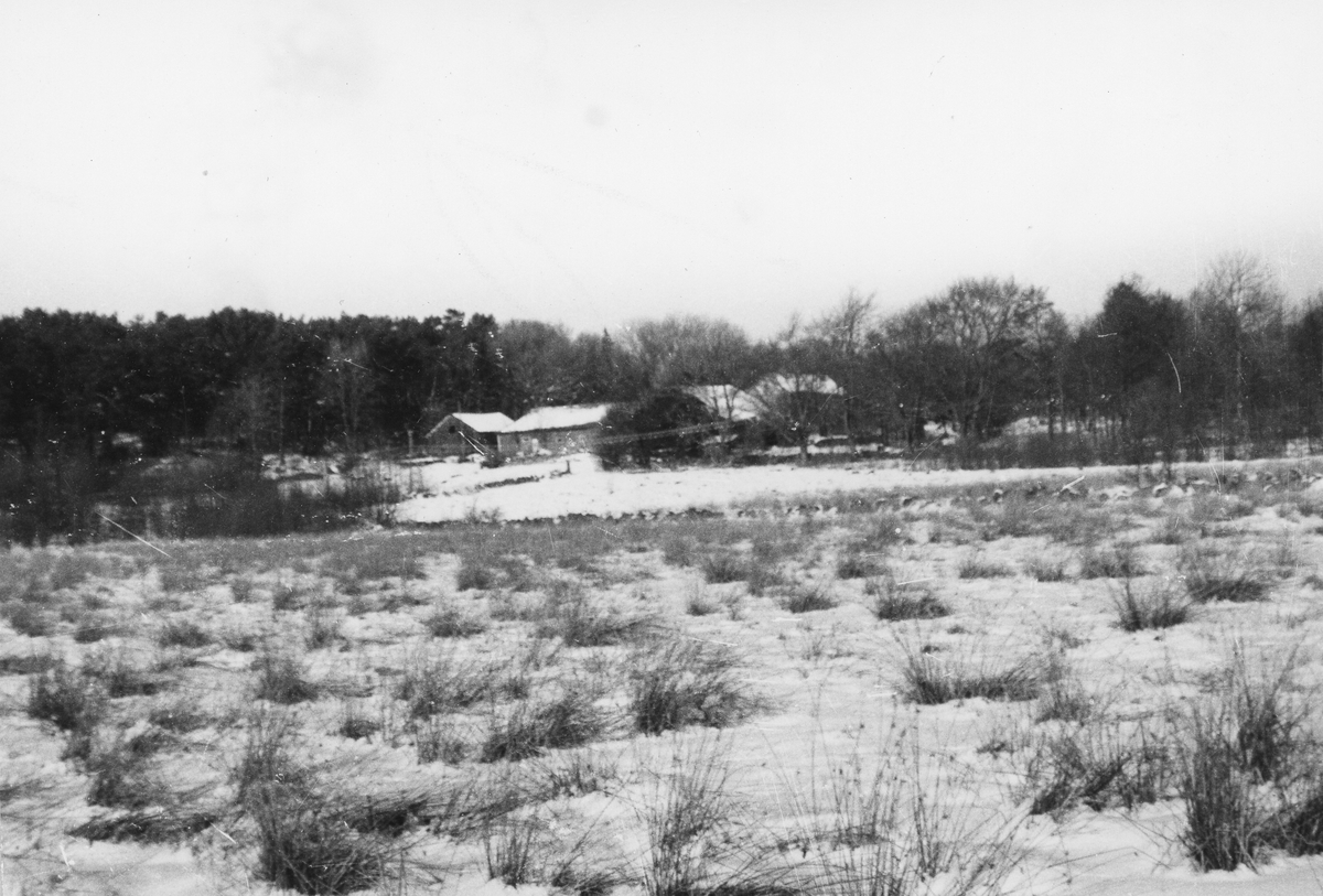 Onsala sn. Stora Lyngås. Lantgård.
Manbyggnaden är byggd på 1700-talet, t.v. statarlänga.