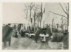 Studenternas vårfest, Uplands nationsrektor Carl Eriksson i förgrunden, Botaniska trädgården, Uppsala 1908