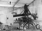 ILIS 1931. De la Ciervas Autogiro C 19 mark 1. Motor: Armstrong Siddeley 