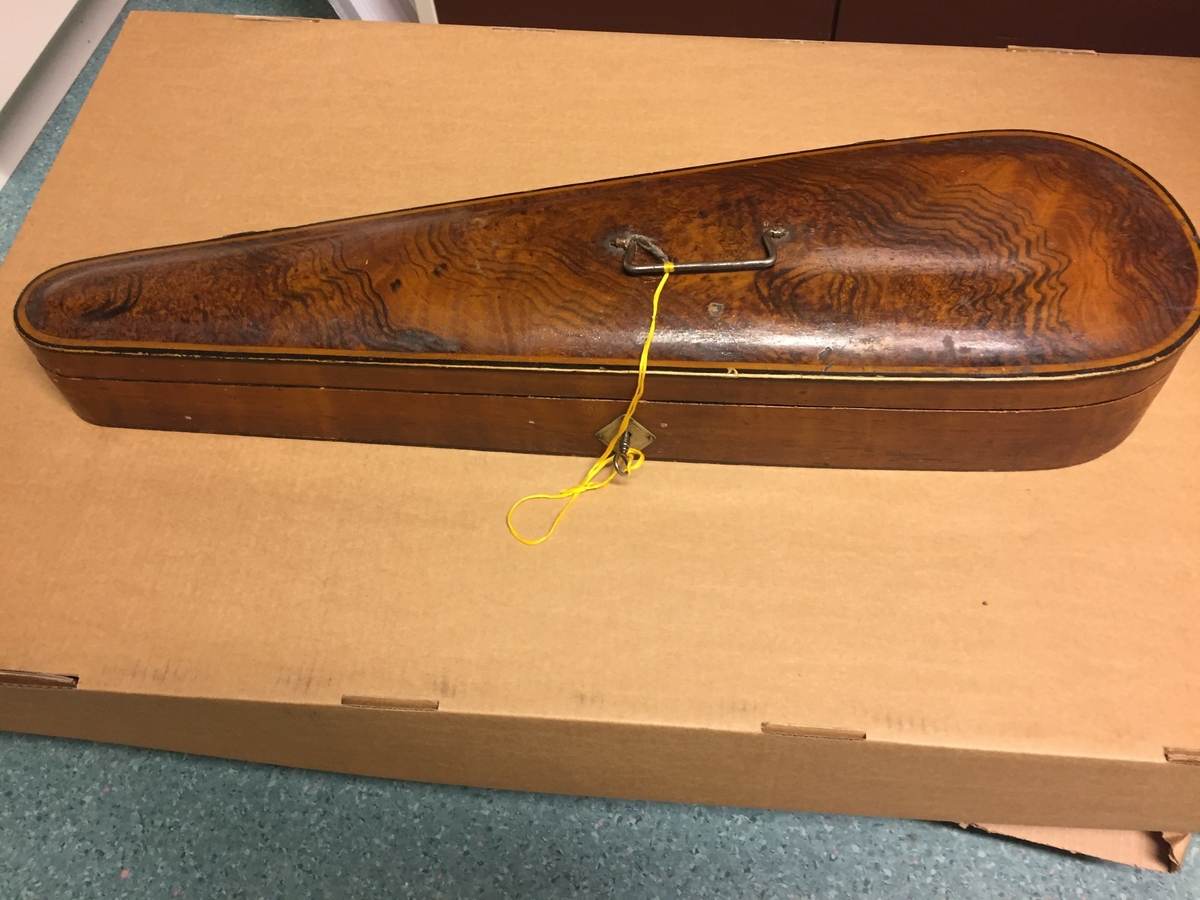 Fiolin med ein rosa blomst til dekor på bakre bru. Inni fela er det lapp med" Guldmedalje i Prorsgrund 1946 Aasmund. Ø .Hovden Telemark reparert 1935". Fiolinen ligg i eit brunt treskrin. Ein liten nøkkel er knytt fast til skrinet.