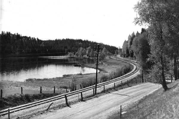 Högvadsån i Älvsered omgiven av träd och vid åkanten ligger ekor. Utmed ån går Falkenbergs Järnväg och en grusväg.