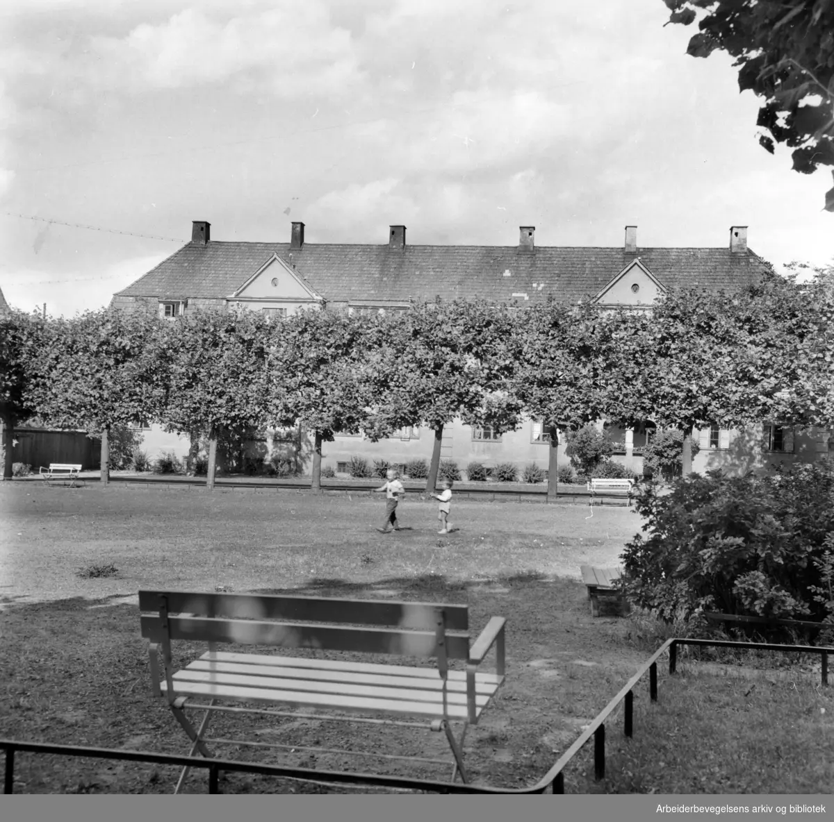 Lindern hageby. August 1959