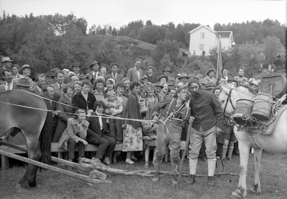Fylkesstevne i Skaun i regi av Sør-Trøndelag Bondelag og Sør-Trøndelag Bygdeungdomslag