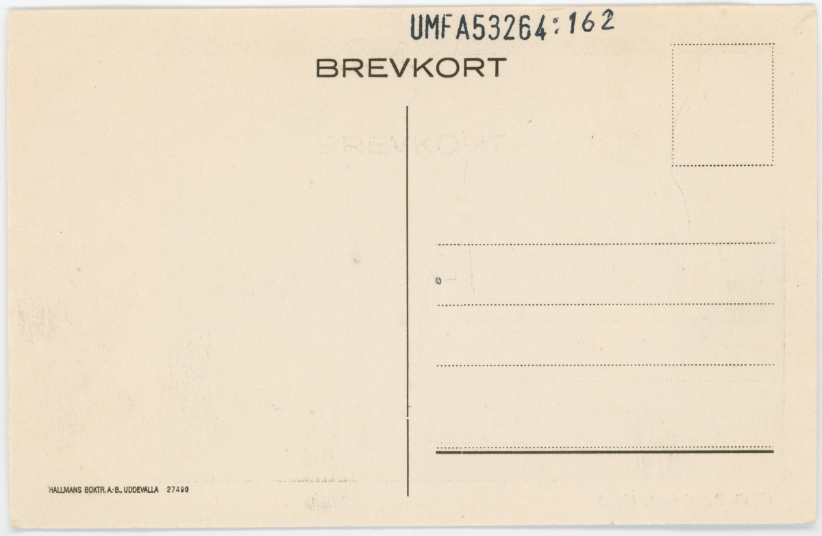 Gåsö. Pensionat, Gåsö.