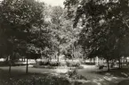 Järnvägsparken i Ljungby, 1927.