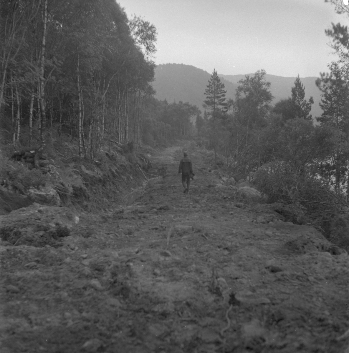 Traktorvegen langs Langåsdalsvatnet aust for Bjordal, 1980. Midt på biletet er Dominicus Bjordal.