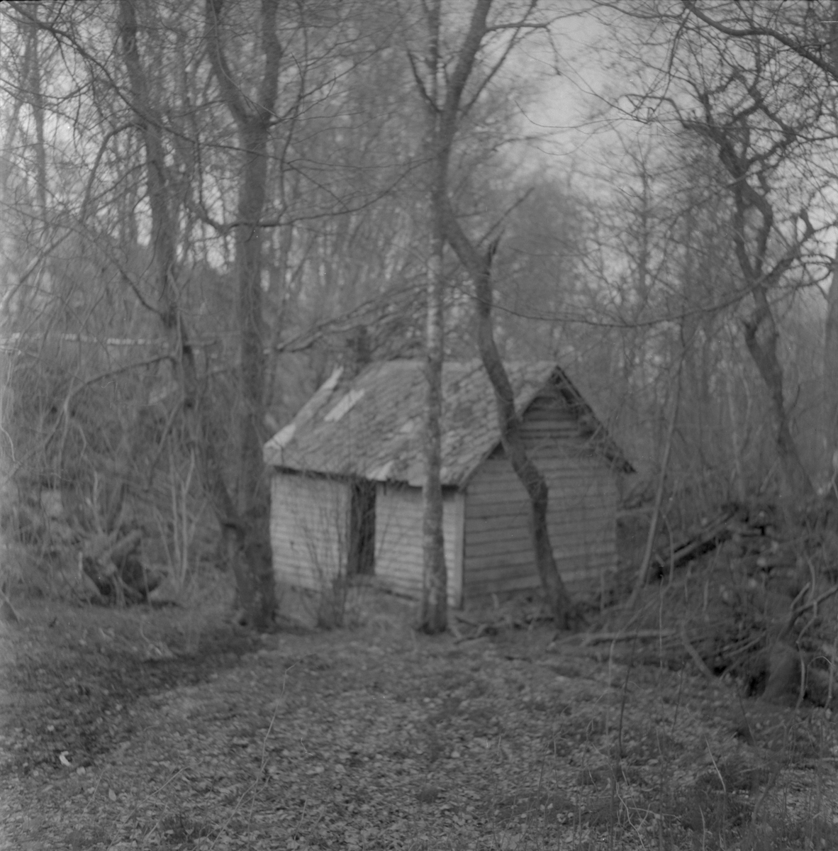 Den gamle mølla i Gardkroken i Innbjoa, 1978.