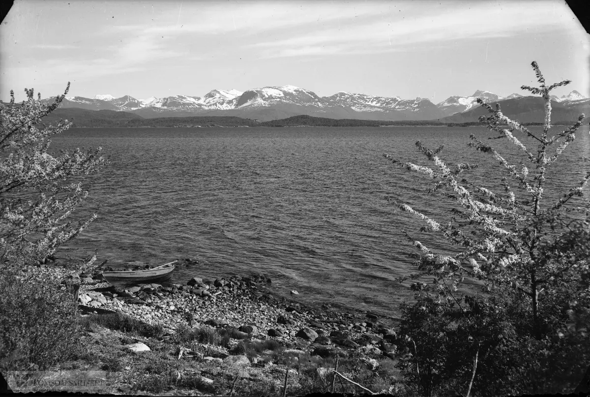 Frå Hjertøya mot Fårøytangen. Midt i bildet, bak: Tarløysa?