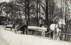 Timmerforor. Teleborg, Växjö, ca 1910. Karl Öhrn och Magni Svensson på var sin fora.