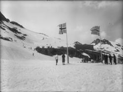 Bildet er fra Trollstigrennet opp mot Alnestinden.