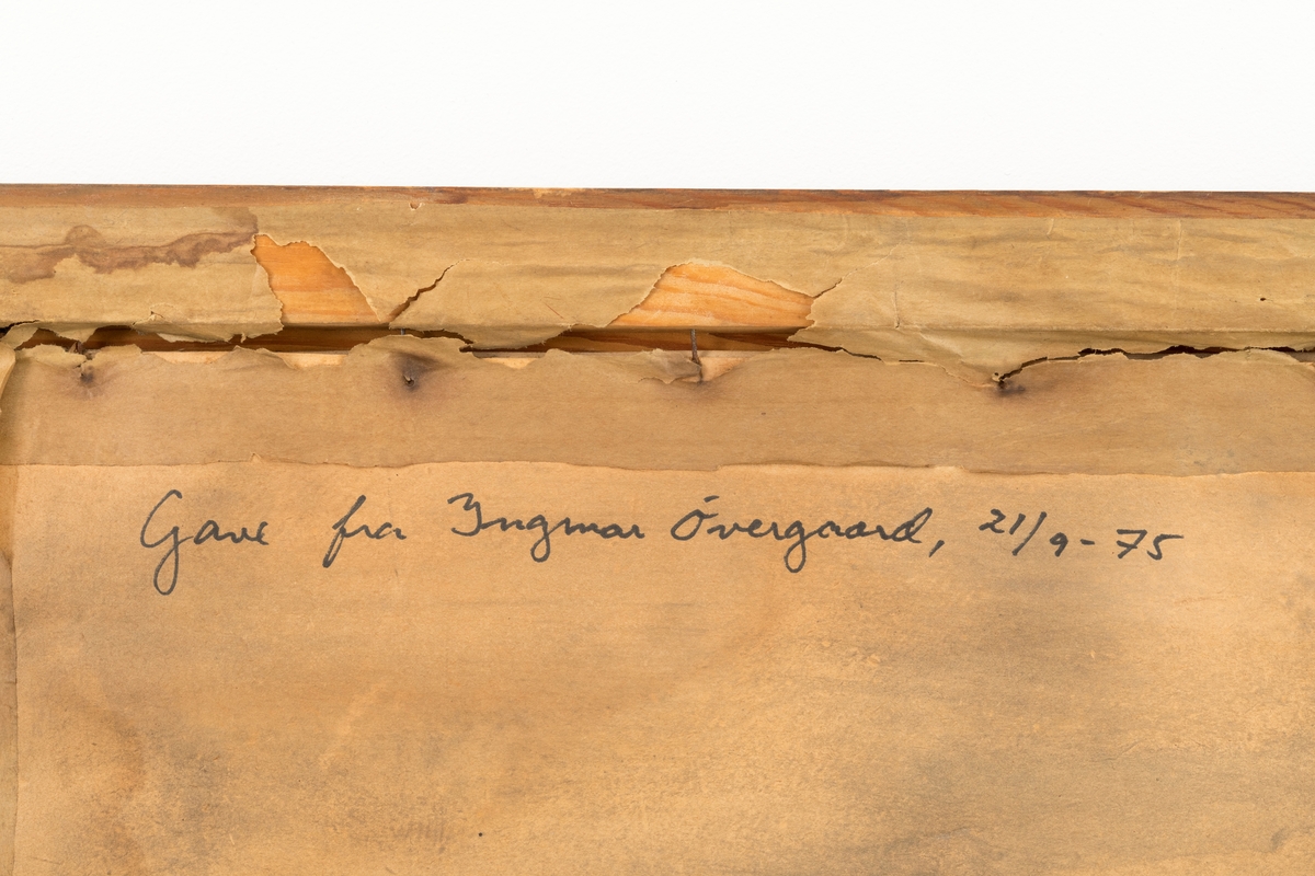 Diplom fra den store jubuleumsutstillingen som ble arrangert på Frogner i Oslo (den gang Kristiania) i forbindelse med 100-årsjubileet for den norske grunnloven. Diplomet er prydet med ei tegning, utført i gråtoner, av et digert tre (sannsynligvis ei gammel eik) med en del jugendpregete bygninger i bakgrunnen. Dette var bygninger som ble reist til den nevnte utstillingen. Til høyre ser vi «festbygningen», som var utstillingens store felleslokale, de øvrige er paviljonger som hadde tematuststillinger. Den øvre delen av tegninga (bladverket i krona på treet) er overskrevet med teksten «NORGES JUBILÆUMSUTSTILLING  1914 KRISTIANIA». Under bildet finner vi ordet «DIPLOM» og i ytterkantene finnes strektegninger av to våpenkjold, riksvåpenet til venstre og en slags collage av byvåpen til høyre. Mellom disse skjoldene har noen skrevet «Sølvmedalje er tilkjendt Hanestad tjærefabrik, for meget god trætjære» med vakker håndskrift. Under denne teksten finner vi signaturene til administrasjonskomiteens formann, utstillingens president, jurykomitreens formann og generalsekretæren.